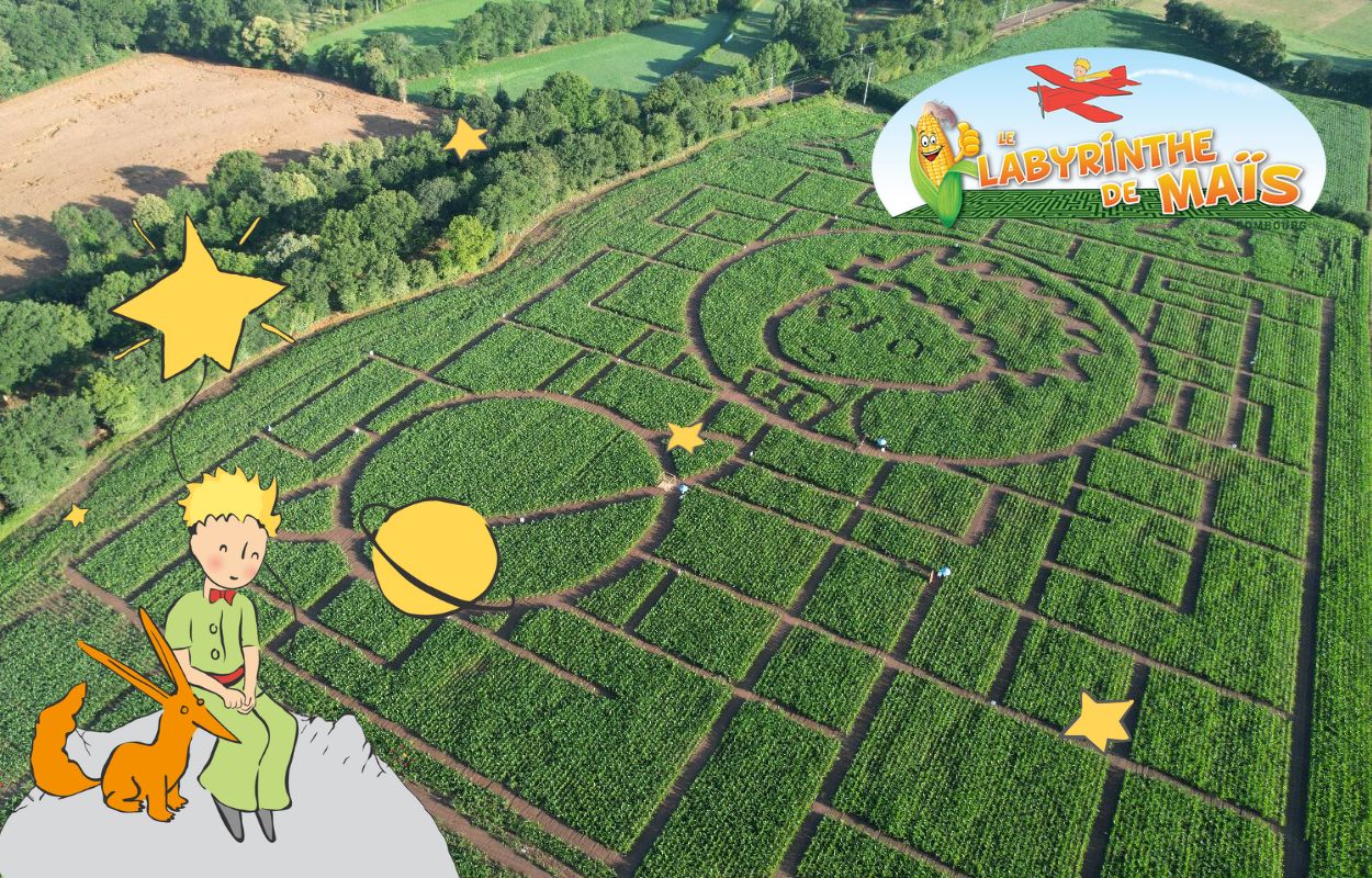 Blog Labyrinthe
