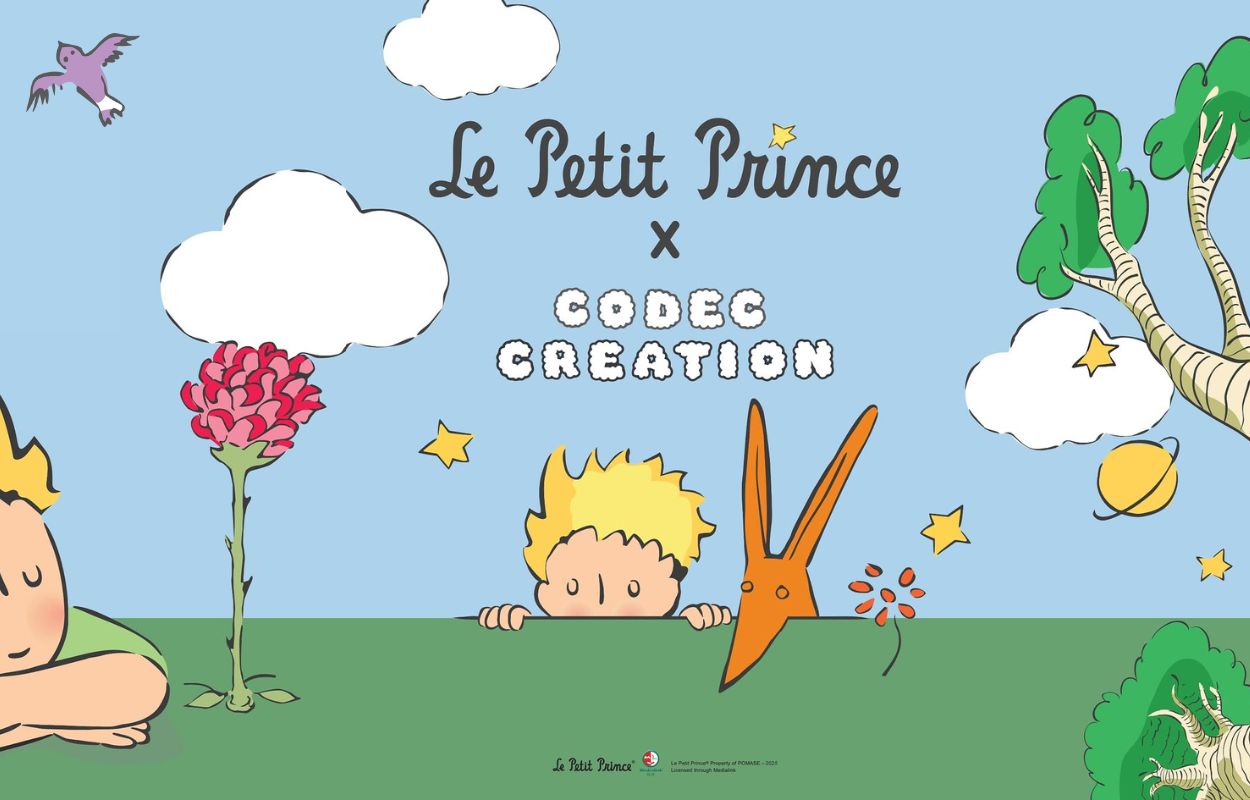 Blog-Codec-creation